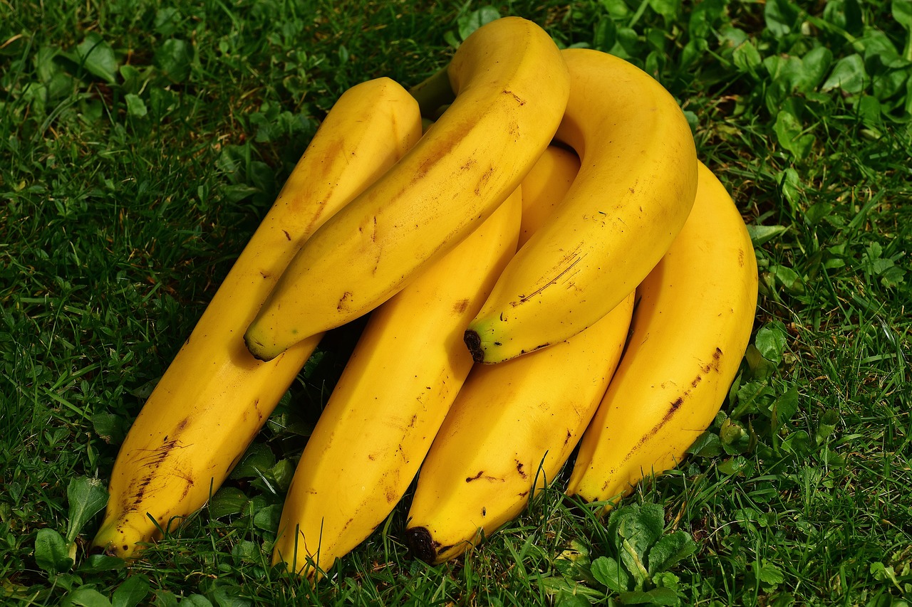 jak suszyć banany w suszarce