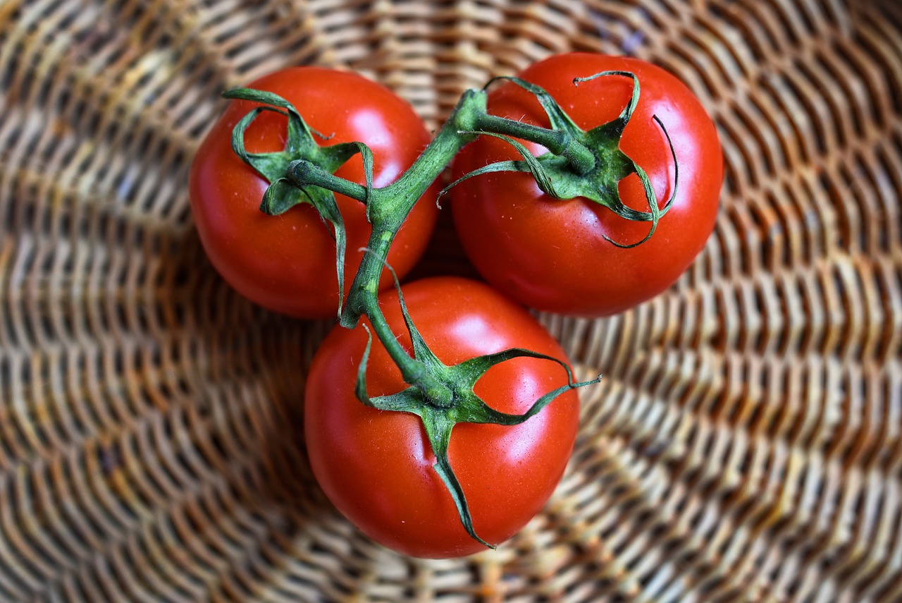 jak zrobić suszone pomidory w suszarce